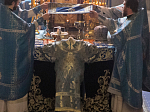 Глава Россошанской епархии совершил Божественную литургию в Субботу Акафиста
