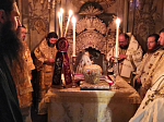 Епископ Россошанский и Острогожский Андрей сослужил митрополиту Капитолиадскому Исихию (Кондояннис) за богослужением в Храме Гроба Господня