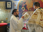 В праздник Рождества Христова епископ Россошанский и Острогожский Дионисий совершил Божественную литургию в Ильинском кафедральном соборе