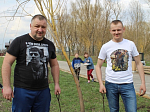Молодежь Острогожска приняла участие в акции “Зелёный город”