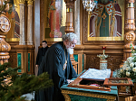 Священнослужители и миряне поздравили Главу Воронежской митрополии со светлым праздником Рождества Христова
