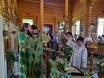 В День Святого Духа в храме Пресвятой Троицы с. Лозовое совершили праздничное богослужение