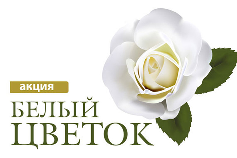 Россошанские школьники готовятся к акции «Белый цветок»