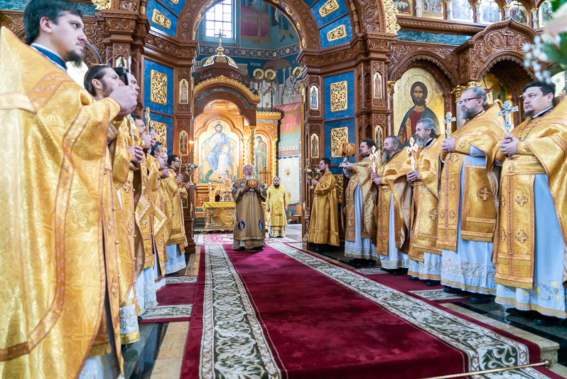 В день памяти святителя Антония (Смирницкого), архиепископа Воронежского, митрополит Воронежский и Лискинcкий Сергий возглавил служение Божественной литургии