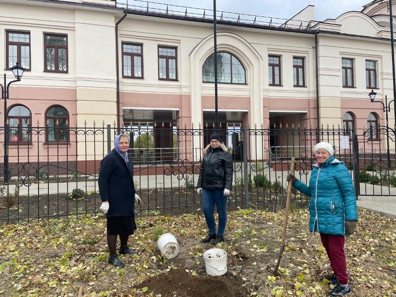 Архангельские кедры вырастут у духовно-просветительского центра