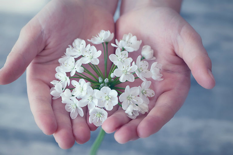 6-я благотворительная акция «Дни Белого цветка» в Россошанской епархии