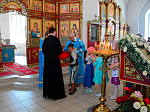 Успение Пресвятой Владычицы нашей Богородицы и Приснодевы Марии молитвенно встретили в слободе Шапошниковка