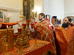 В Россошанском благочинии совершена соборная миссионерская Божественная литургия