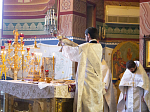 В Навечерие Богоявления епископ Россошанский и Острогожский Андрей совершил Божественную литургию и Великое водоосвящение в Ильинском соборе