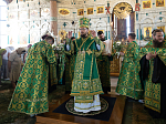 В канун праздника Святой Троицы Преосвященнейший епископ Дионисий совершил всенощное бдение в Свято-Ильинском кафедральном соборе г. Россошь