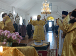 Правящий Архиерей совершил Литургию в Георгиевском храме села Терновое Острогожского района