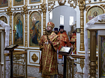 Преосвященнейший епископ Дионисий совершил Божественную литургию в Георгиевском храме села Терновое Острогожского района