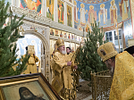Глава Воронежской митрополии поздравил настоятельницу и сестер Алексиево-Акатовой обители со знаменательными датами - 400-летием основания обители и 30-летием возобновления монашеской жизни