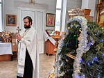 В праздник Рождества Христова на приходах Павловского церковного округа состоялись праздничные богослужения