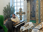 В Неделю по Рождестве Христовом Правящий Архиерей совершил Божественную литургию в храме иконы Божией Матери «Казанская» пгт. Каменка