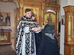 В селе Александровка - Донская состоялась соборная  литургия  