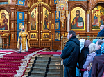 Епископ Россошанский и Острогожский Дионисий в числе сонма Архипастырей совершил Божественную литургию в Благовещенском кафедральном соборе г. Воронежа