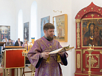 В Неделю вторую Великого поста Преосвященнейший епископ Дионисий совершил Литургию в Покровском храме с. Шапошниковка