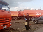 В 5-й день продолжилось движение Ильинского казачьего крестного хода на территории Калачеевского благочиния