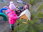 В Богучарском благочинии стартовала областная экологическая акция «Покорми птиц зимой»