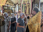 В Михайло-Архангельском храме города Острогожска и на сельских приходах встретили икону Божией Матери «Оршанская»