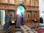 В храме святого благоверного князя Александра Невского села Петровка совершено соборное богослужение духовенства Павловского благочиния
