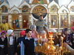 Школьники выпустили голубей