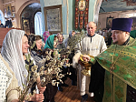 Вербное Воскресенье в Павловске