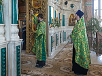 В канун праздника Святой Троицы Преосвященнейший епископ Дионисий совершил всенощное бдение в Свято-Ильинском кафедральном соборе г. Россошь