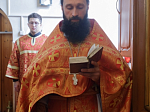 В Россошанском благочинии совершена соборная миссионерская Божественная литургия