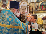 В храме Преображения Господня города Острогожска совершено акафистное пение перед чтимой иконой Божией Матери «Избавительница от бед»