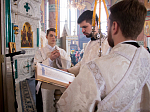 Епископ Россошанский и Острогожский Андрей совершил Божественную литургию в Свято-Ильинском кафедральном соборе