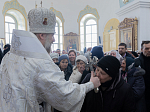 Архипастырский визит в Богучарское благочиние