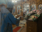 Архипастырь возглавил торжественное Богослужение в храме Покрова Пресвятой Богородицы города Павловска