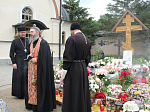 Благословенная Оптина
