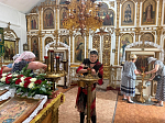 Паломничество к старцу Спиридону в село Терновое