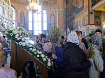 В канун праздника Входа Господня в Иерусалим Архипастырь совершил всенощное бдение в Свято-Ильинском кафедральном соборе города Россоши