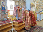 В селе Верхний Мамон отметили престольный праздник в Свято-Митрофановском храме