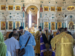 Епископ Россошанский и Острогожский Дионисий возглавил служение молебна святым благоверным князю Петру и княгине Февронии Муромским