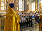 Торжественное соборное богослужение в праздник Собора Воронежских святых было совершено в Благовещенском кафедральном соборе города Воронежа