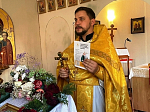 Настоятели храмов Павловского церковного округа ознакомили прихожан с патриаршей программой «Исследуйте Писания»