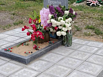 Памяти поэтессы