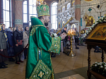 В праздник Входа Господня в Иерусалим глава Россошанской епархии совершил Литургию в Свято-Ильинском кафедральном соборе города Россоши