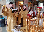 В Ильинском кафедральном соборе был совершён молебен о страждущих недугом винопития и наркомании