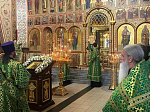 В день памяти преставления Сергия, игумена Радонежского епископ Дионисий сослужил сонму Архипастырей в Гефсиманском Черниговском скиту