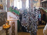 В праздник Входа Господня в Иерусалим глава Россошанской епархии совершил Литургию в Свято-Ильинском кафедральном соборе города Россоши