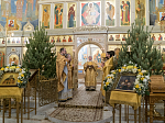 Глава Воронежской митрополии поздравил настоятельницу и сестер Алексиево-Акатовой обители со знаменательными датами - 400-летием основания обители и 30-летием возобновления монашеской жизни