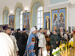 Архипастырский визит в Богучарское благочиние
