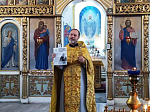 Клирики Калачеевского благочиния призвали прихожан принять активное участие в патриаршей программе по изучению Священного Писания