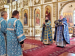 В Петропавловском храме села Репьевка совершена миссионерская литургия